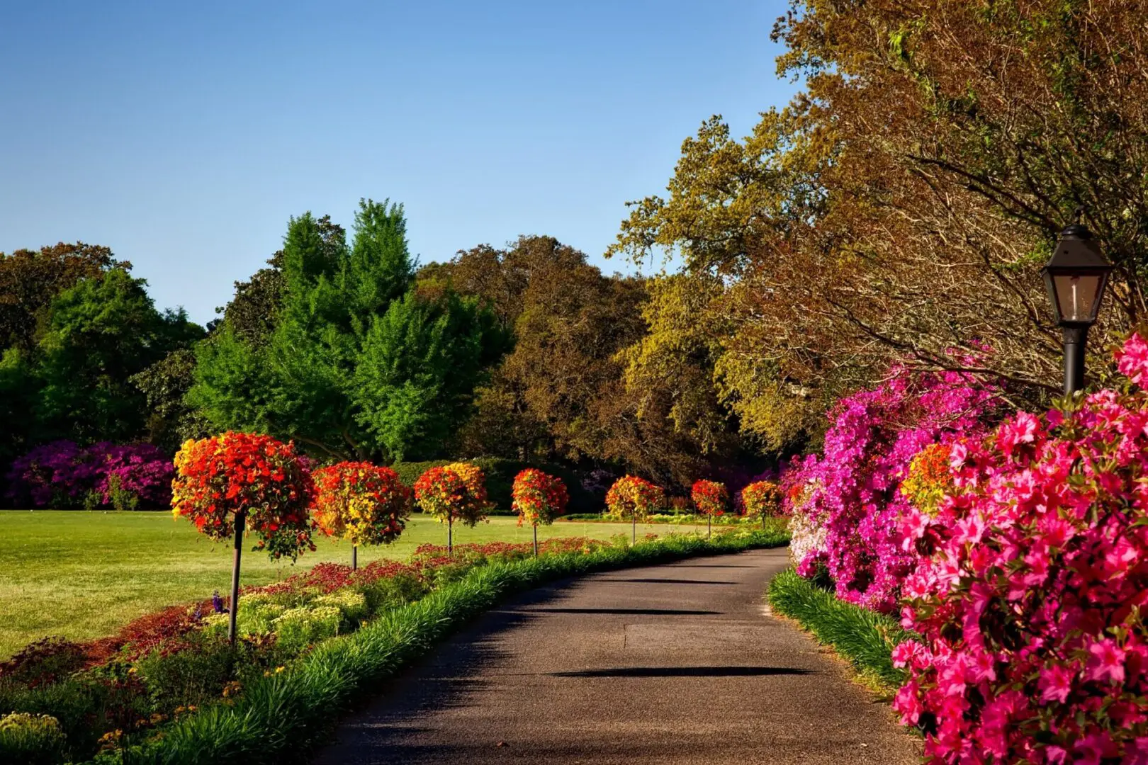 A road with trees and flowers in the background.